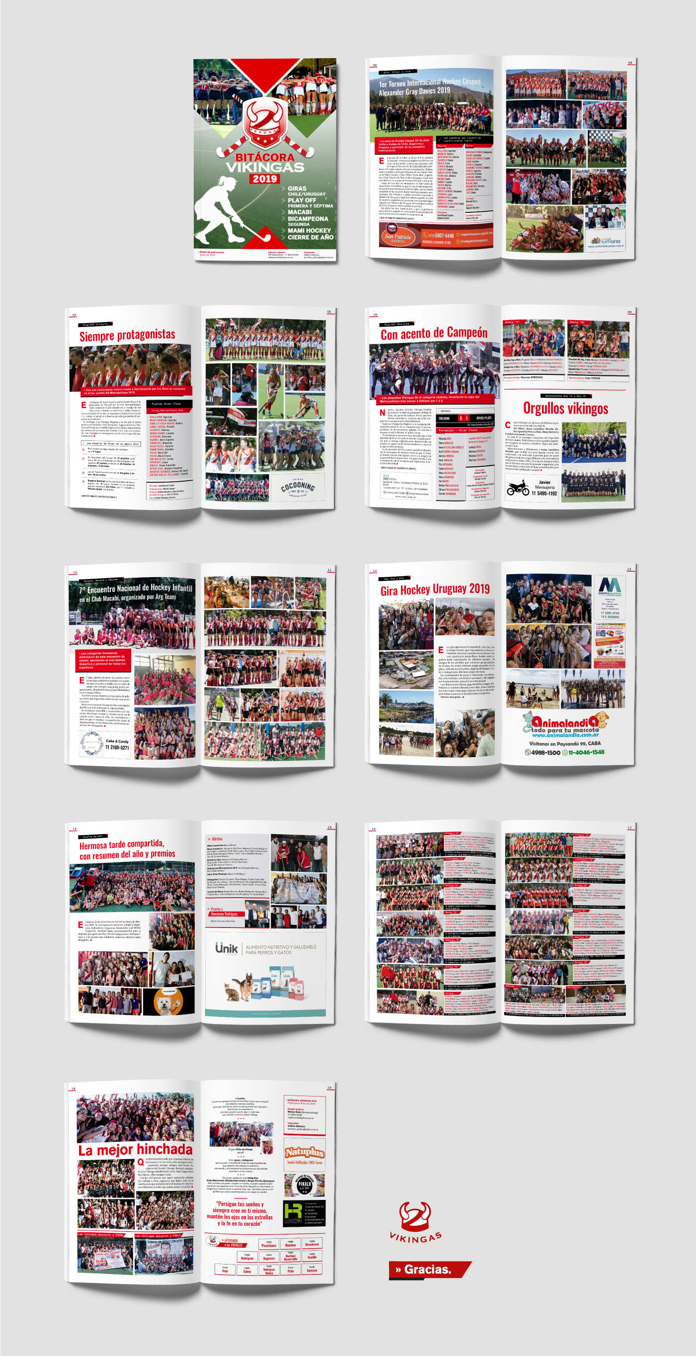 revista_vikingas_2019